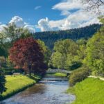 Baden-Baden: Guided tour along Lichtentaler Allee - Key Points