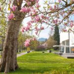 Baden-Baden: Sightseeing Highlights Guided Walking Tour - A Deep Dive into the Baden-Baden Guided Walking Tour