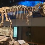 Badlands Tour: Drumheller with Museum, Hoodoos & Coal Mine - Authentic Experiences and Honest Insights