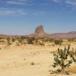 Baja UTV Adventure Canyon Exploration and Tequila Tasting - From Desert to Sea: Playa Cerritos and the Coastal Flavor