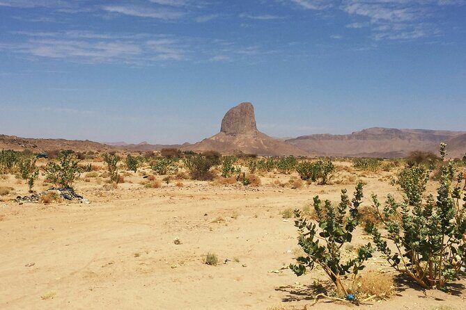 Baja UTV Adventure Canyon Exploration and Tequila Tasting - From Desert to Sea: Playa Cerritos and the Coastal Flavor