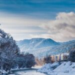 Bakuriani-Borjomi full day trip - Who Is This Tour Best Suited For?