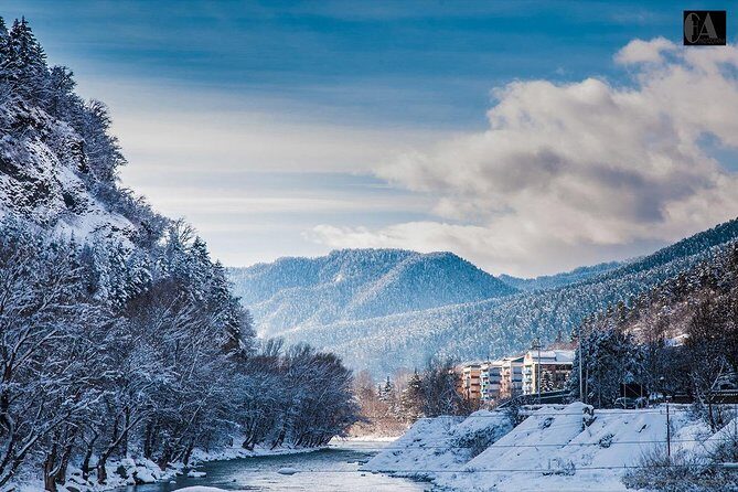 Bakuriani-Borjomi full day trip - Who Is This Tour Best Suited For?