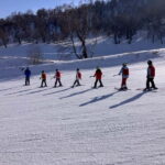 Bakuriani: Private or group Ski Lesson - Who Is This Tour Best For?