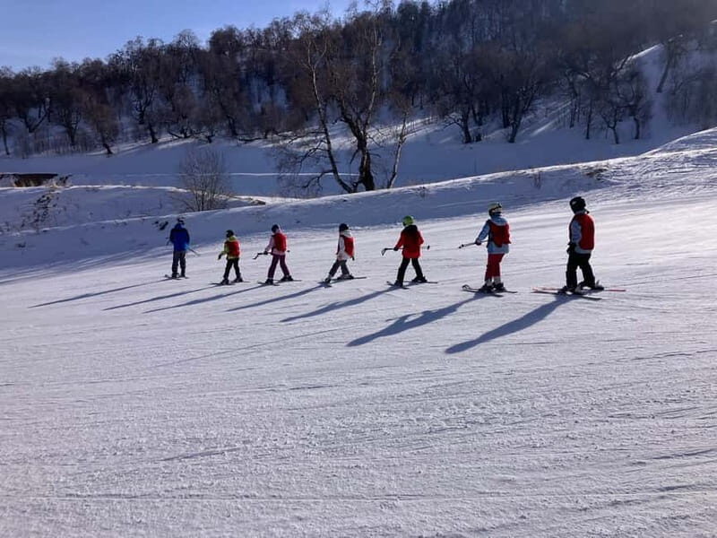 Bakuriani: Private or group Ski Lesson - Who Is This Tour Best For?