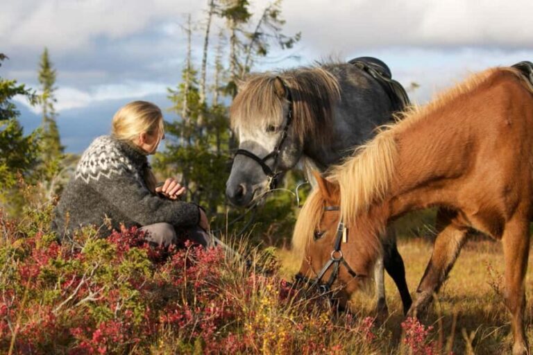 Bakvattnet: Pack horse trekking tour in Blomsterkogen - The Midway Picnic and Rest Stop
