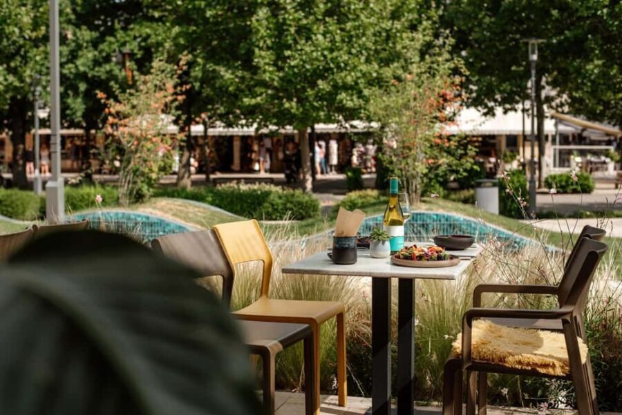 Balaton: Vineyard Tour and Wine Tasting with Zelna - A Deep Dive into the Vineyard Tour Experience
