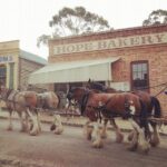 Ballarat Gold Fields - Sovereign Hill & Winery Tour - Final Thoughts