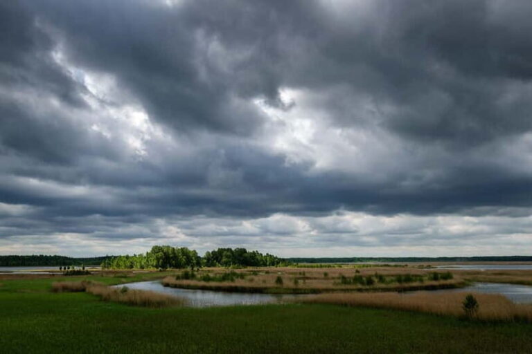 Baltic Sea Coastal Scenery and Cape Kolka From Riga - Why This Tour Offers Excellent Value