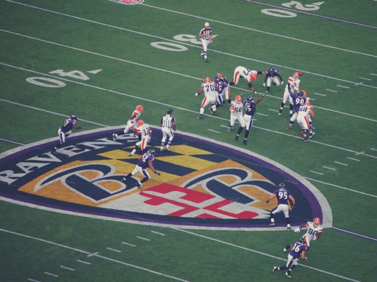 Baltimore: Ravens Football Game Ticket at M&T Bank Stadium - The Sum Up