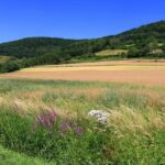 Bamberg Countryside Breweries Beer Hike Food Experience - A Detailed Breakdown of the Itinerary