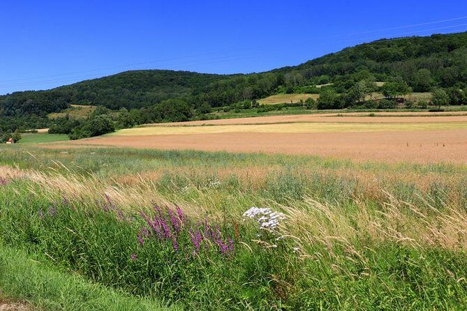 Bamberg Countryside Breweries Beer Hike Food Experience - A Detailed Breakdown of the Itinerary