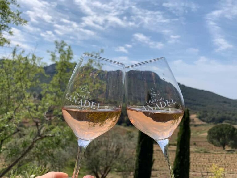 Bandol: family vineyard tour and tasting - How the Experience Comes to Life