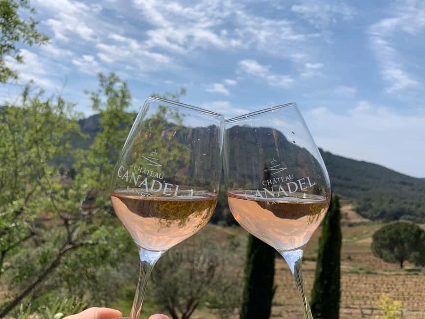 Bandol: family vineyard tour and tasting - How the Experience Comes to Life