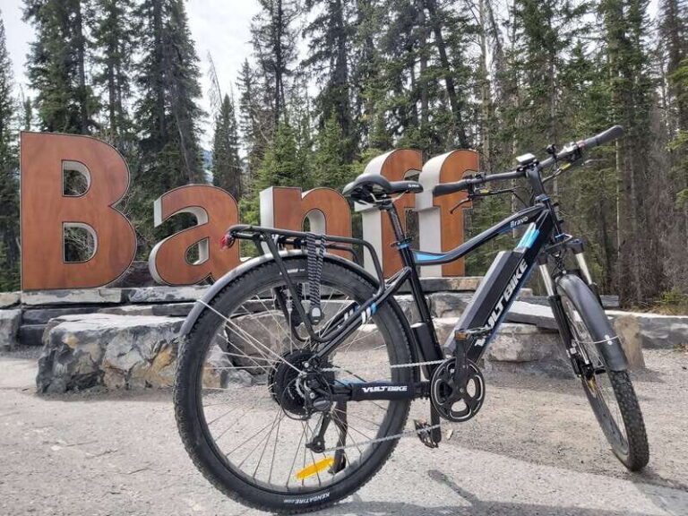 Banff: 4-Hour E-Bike and Walking Tour in Johnston Canyon - What We Love About This Tour