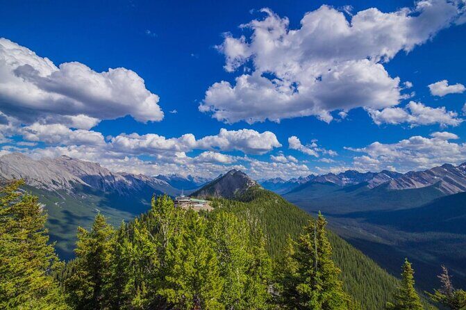 Banff Area & Johnston Canyon 1-Day Tour from Calgary or Banff - Who Is This Tour Best For?