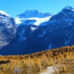 Banff/Canmore: Larch Valley & Moraine Lake - Practical Tips and What to Bring