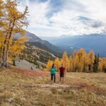 Banff Canmore Private Adventure Moraine Lake and Lake Louise Tour - Who Is This Tour Best Suited For?