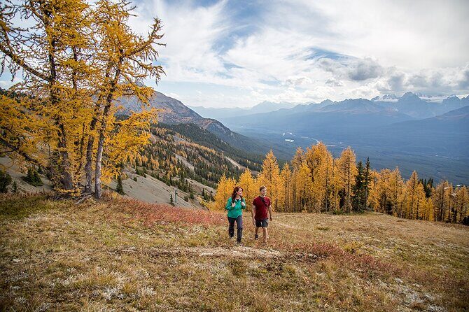 Banff Canmore Private Adventure Moraine Lake and Lake Louise Tour - Who Is This Tour Best Suited For?
