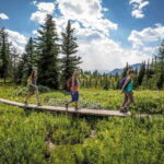 Banff: Edible and Medicinal Plants Nature Walk - A Practical Look at the Banff Edible and Medicinal Plants Walk