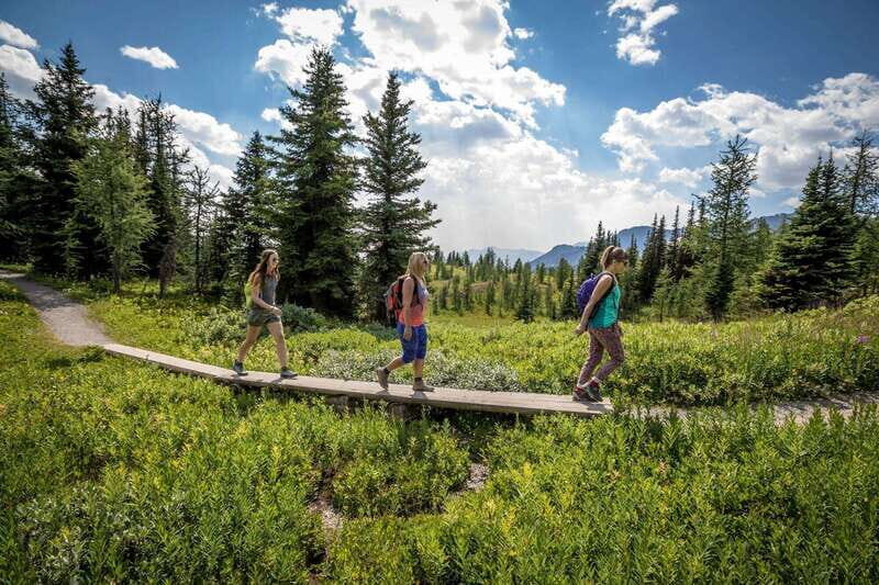Banff: Edible and Medicinal Plants Nature Walk - A Practical Look at the Banff Edible and Medicinal Plants Walk