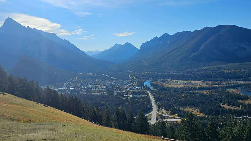 Banff: Evening Wildlife Safari Guided Tour - Final Thoughts: Is It Worth It?