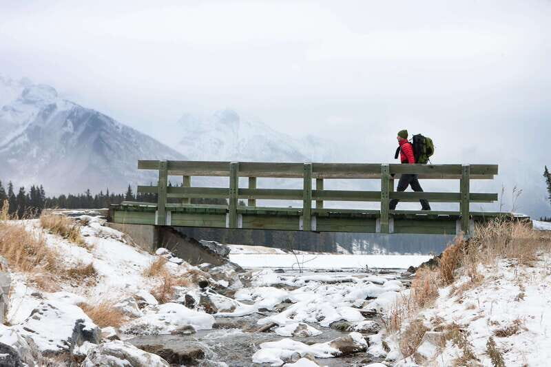 Banff: Explore Winter Nature Walk - Ice Cleats Included 2H - An In-Depth Look at the Banff Winter Nature Walk