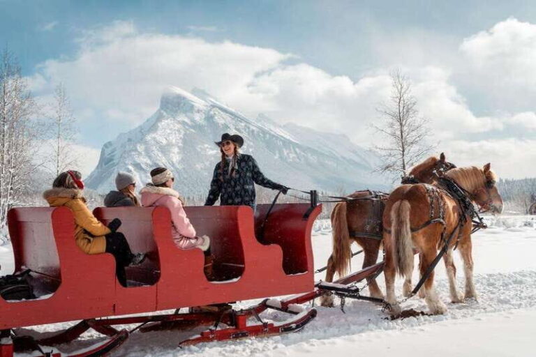 Banff: Family Friendly Horse-Drawn Sleigh Ride - In-Depth Review of the Banff Horse-Drawn Sleigh Ride