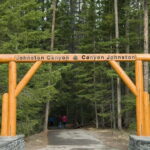 Banff: Guided Day Trip with Hotel Pickup and Drop-off - A Deep Dive into What This Tour Offers
