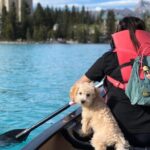 Banff Moraine Lake Louise Shuttle | Seat On Sale for Limited Time - The Pros and Cons of the Shuttle Experience