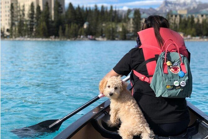 Banff Moraine Lake Louise Shuttle | Seat On Sale for Limited Time - The Pros and Cons of the Shuttle Experience