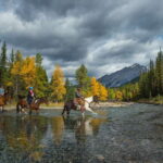 Banff National Park: 1-Hour Spray River Horseback Ride - What Makes This Horseback Ride Special?