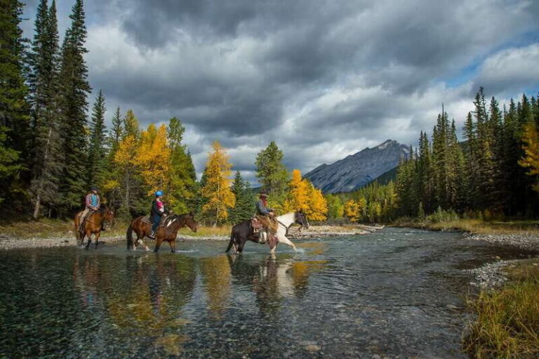 Banff National Park: 1-Hour Spray River Horseback Ride - What Makes This Horseback Ride Special?