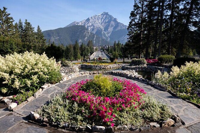 Banff National Park Group Bus Tour Experience - Who Will Love This Tour?