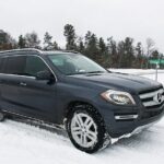 Banff National Park & Lake Louise FULL DAY PRIVATE TOUR - Detailed Breakdown of the Experience