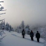 Banff National Park: Sunshine Meadows Snowshoeing Experience - Who Should Consider This Tour?