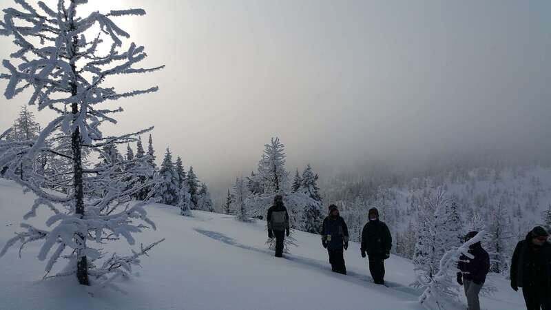 Banff National Park: Sunshine Meadows Snowshoeing Experience - Who Should Consider This Tour?