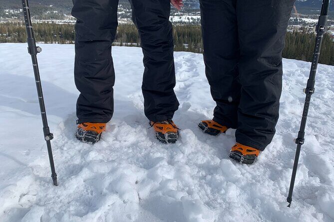 Banff WILD ICE - 3 Hour Ice Cleat Adventure! - Why this tour offers great value