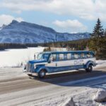 Banff: Winter Tour with Dinner & Nightrise at Banff Gondola - Final Thoughts