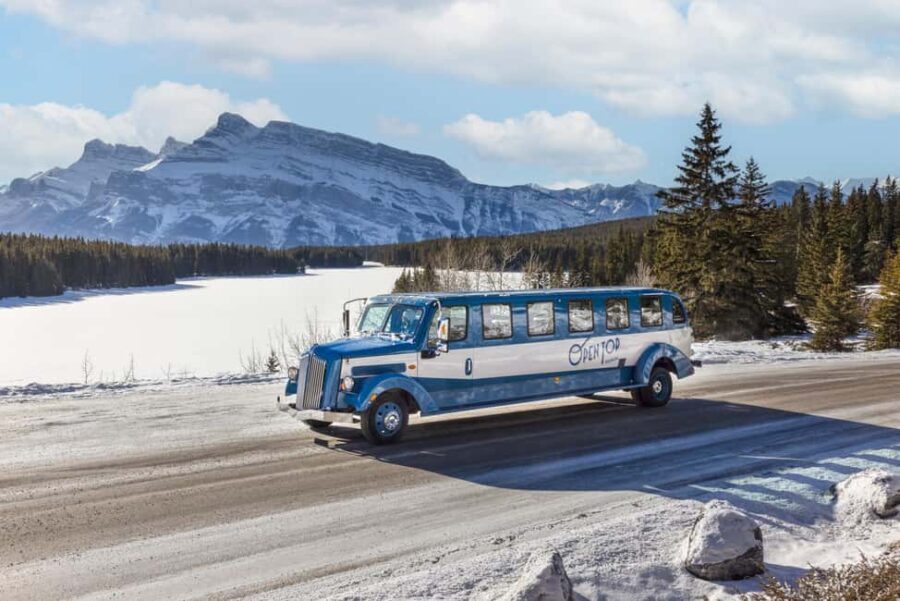 Banff: Winter Tour with Dinner & Nightrise at Banff Gondola - Final Thoughts