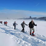 Bansko: Easy snowshoeing Pirin National Park & thermal spa - Detailed Tour Breakdown