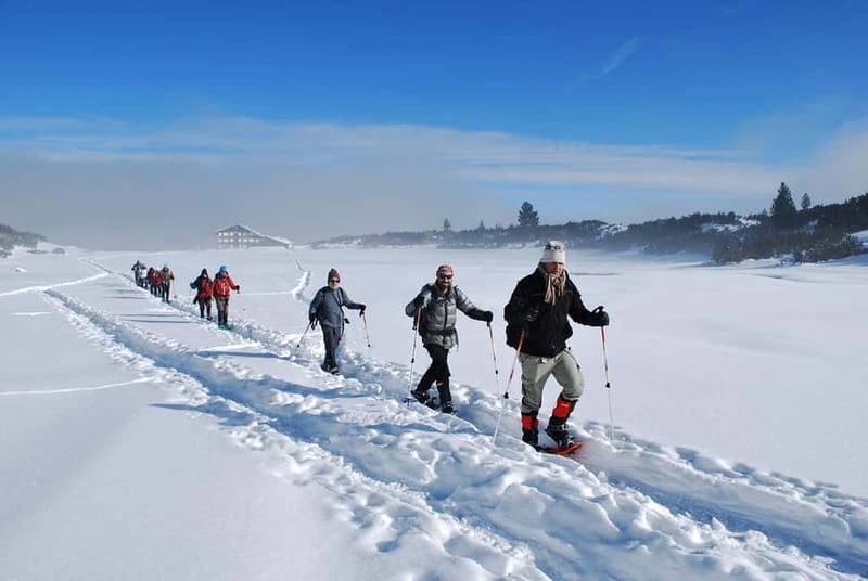 Bansko: Easy snowshoeing Pirin National Park & thermal spa - Detailed Tour Breakdown