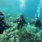 "Baptism of the Sea: Diving on the Island of Elba" - The Sum Up