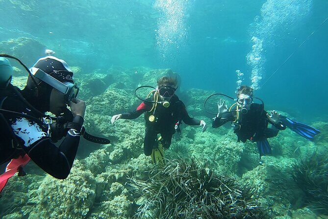 "Baptism of the Sea: Diving on the Island of Elba" - The Sum Up