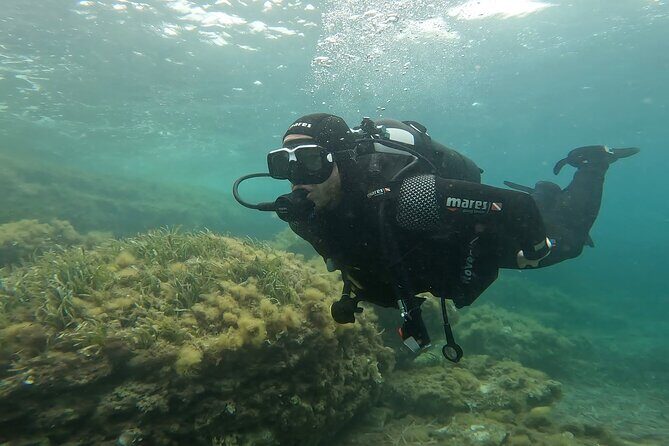 Baptism of the Sea in Favignana - Try Scuba diving - Why This Tour Is a Great Choice