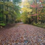 Bar Harbor: Acadia National Park Autumn Leaf Private Tour - The Value of a Private Guided Tour