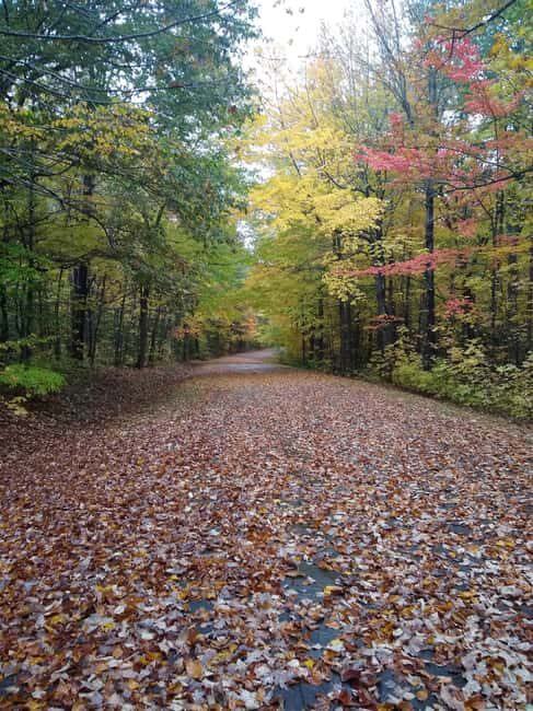 Bar Harbor: Acadia National Park Autumn Leaf Private Tour - The Value of a Private Guided Tour