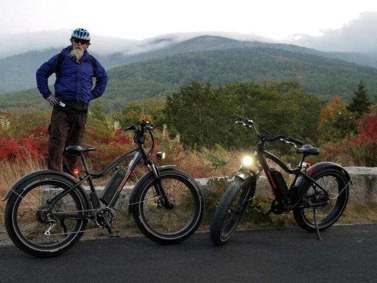 Bar Harbor: Acadia National Park Carriage Roads Ebike Tour - Who This Tour Is Best For
