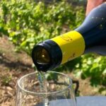 BarCa Winery Cinqueterre Trekking & Wine Tasting & Pesto Class - Practical Considerations and Tips
