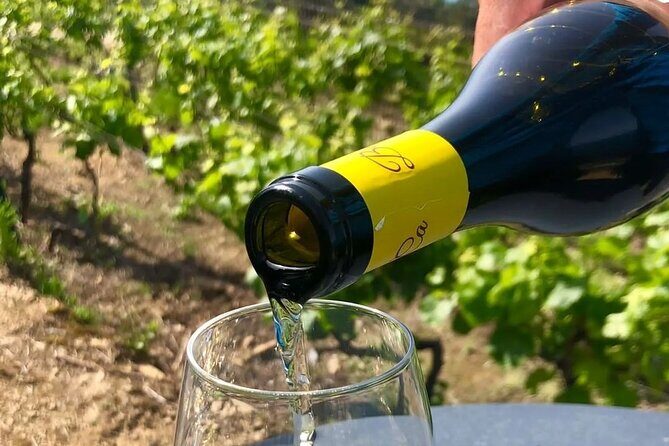 BarCa Winery Cinqueterre Trekking & Wine Tasting & Pesto Class - Practical Considerations and Tips